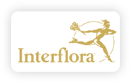 Composition florale Chalosse, Composition florale Pays Tarusate, Composition florale Tartas, Deuil Chalosse, Deuil Pays Tarusate, Deuil Tartas, Fleuriste Chalosse, Fleuriste Pays Tarusate, Fleuriste Tartas, Livraison fleur Chalosse, Livraison fleur Pays Tarusate, Livraison fleur Tartas, Mariage Chalosse, Mariage Pays Tarusate, Mariage Tartas