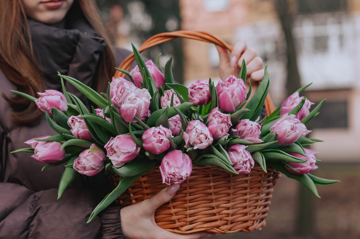 Composition florale Chalosse, Composition florale Pays Tarusate, Composition florale Tartas, Deuil Chalosse, Deuil Pays Tarusate, Deuil Tartas, Fleuriste Chalosse, Fleuriste Pays Tarusate, Fleuriste Tartas, Livraison fleur Chalosse, Livraison fleur Pays Tarusate, Livraison fleur Tartas, Mariage Chalosse, Mariage Pays Tarusate, Mariage Tartas