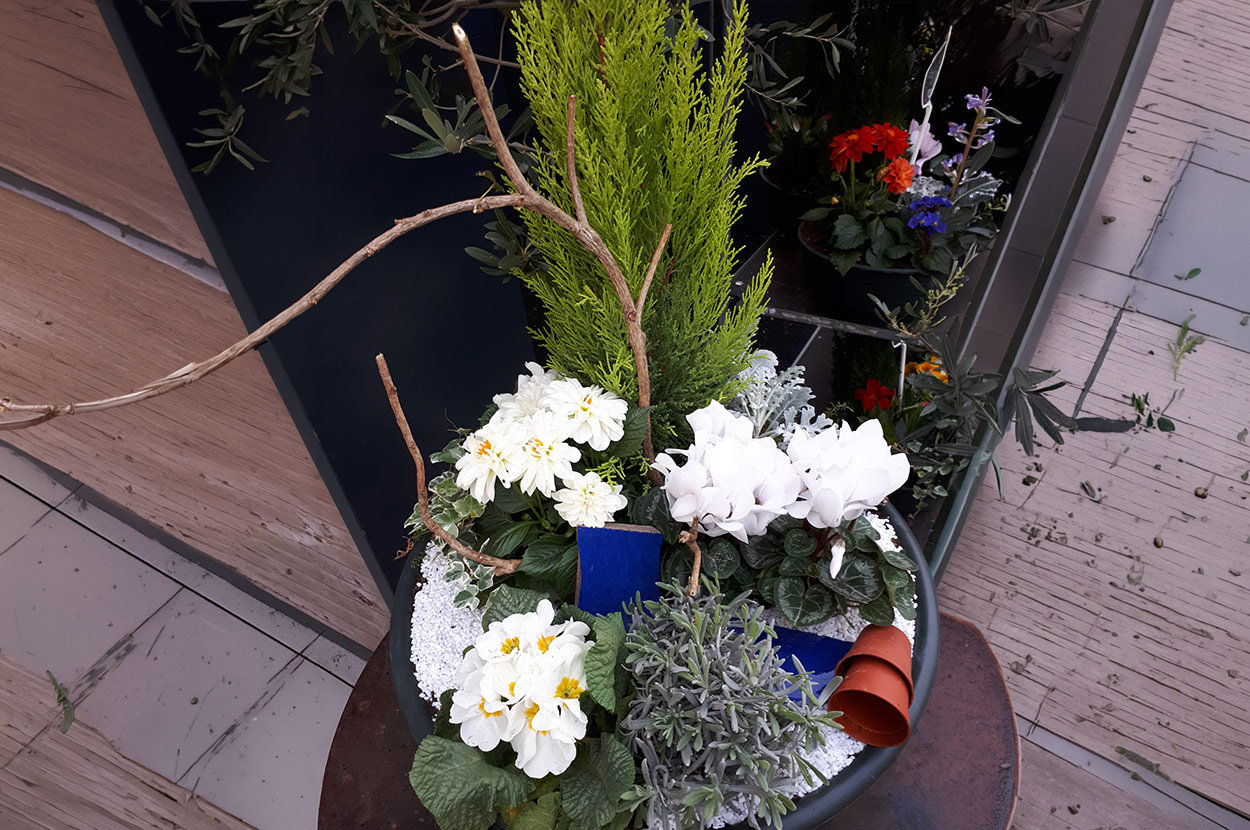 Composition florale Chalosse, Composition florale Pays Tarusate, Composition florale Tartas, Deuil Chalosse, Deuil Pays Tarusate, Deuil Tartas, Fleuriste Chalosse, Fleuriste Pays Tarusate, Fleuriste Tartas, Livraison fleur Chalosse, Livraison fleur Pays Tarusate, Livraison fleur Tartas, Mariage Chalosse, Mariage Pays Tarusate, Mariage Tartas